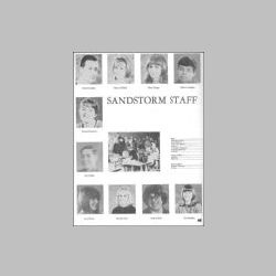 046-SandstormStaff.jpg