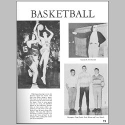 073-VBasketball.jpg