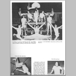 085-Gymnastics.jpg