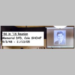 267-ColeSHOAF.jpg