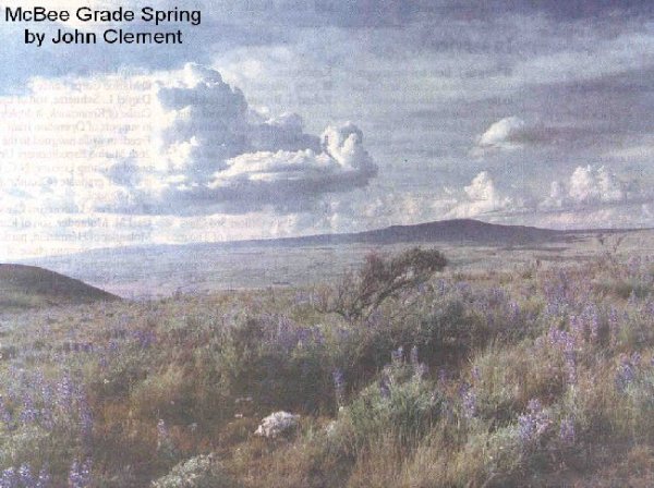 McGee Grade Spring