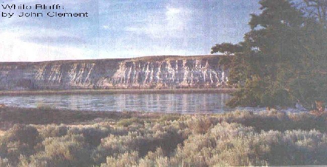 White Bluffs