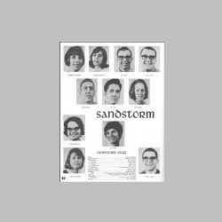 082-SandstormStaff.jpg