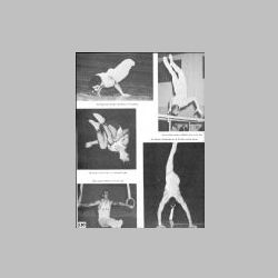 130-Gymnastics.jpg