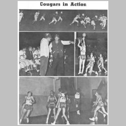 038-63Cougar-Sports-SnapShots.jpg