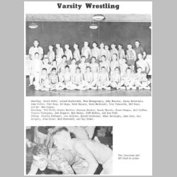 041-63Cougar-VWrestling.jpg