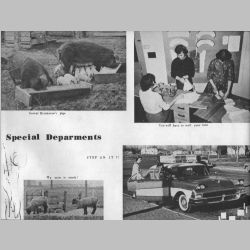140-Special_Departments.jpg
